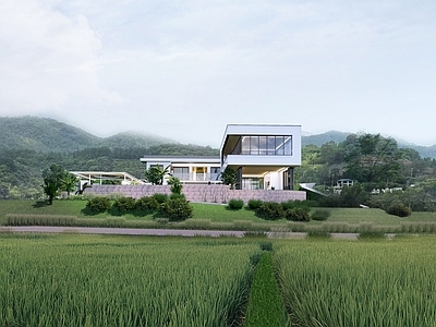 现代乡村民房 精致景观 现代名宿 浅色景观 小院景观