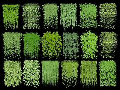 藤蔓 藤蔓植物 藤本植物 爬墙植物 绿植爬藤 垂钓植物
