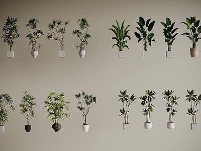 盆栽 现代绿植盆栽 中古风绿植盆栽