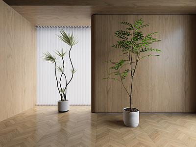 植物组合 盆栽组合 树池植物组合 现代植物盆栽
