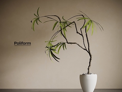 盆栽 侘寂中古风绿植 盆栽植物