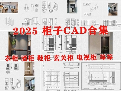 现代柜子 全屋定制 衣柜 酒柜 鞋柜 电视柜 施工图