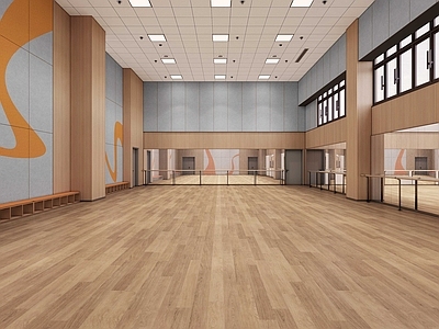 现代其他学校空间 舞蹈教室