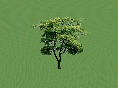 2D乔木 景观树