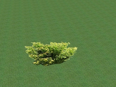2D乔木 景观树