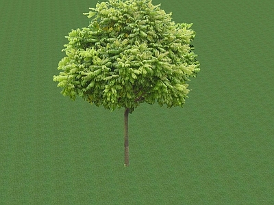 2D乔木 景观树