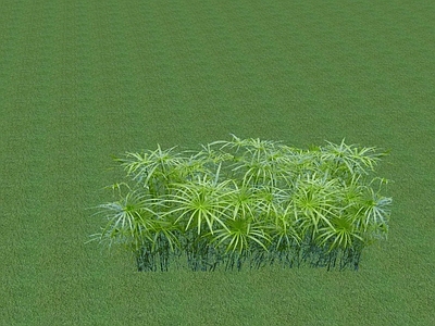 2D乔木 景观树