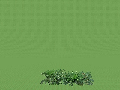 2D灌木 灌木球