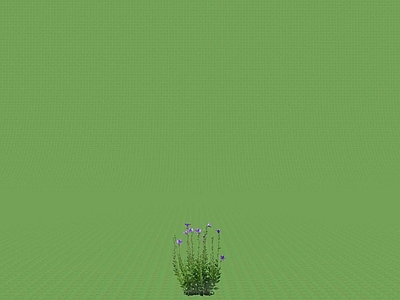 2D灌木 灌木球