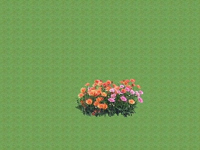 花草 花架花草