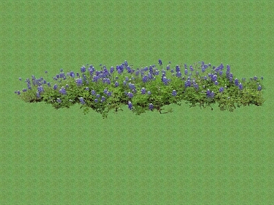 花草 花架花草
