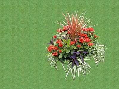 花草 花架花草