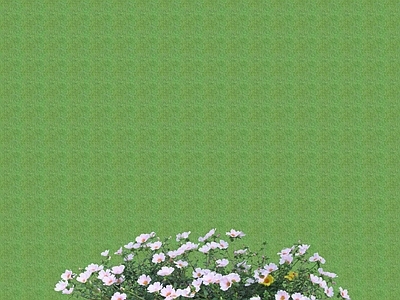花草 花架花草