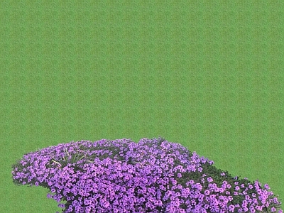 花草 花架花草