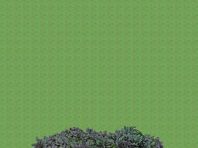 花草 花架花草