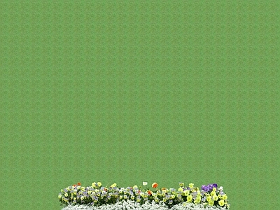 花草 花架花草