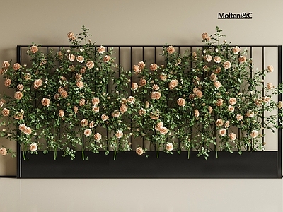 藤蔓 藤蔓 现代藤蔓植物 花架 绿植墙