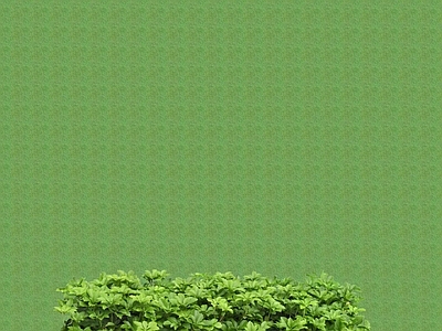 2D灌木 灌木球