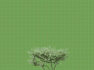 2D灌木 灌木球