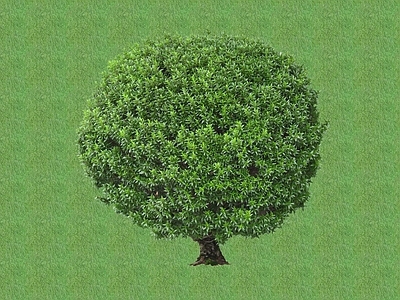 2D灌木 灌木球