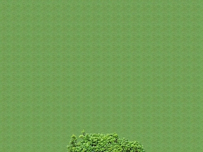 2D灌木 灌木球