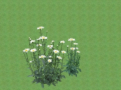 2D灌木 灌木球