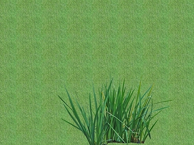 2D灌木 灌木球
