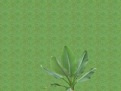 2D花草 花坛花草