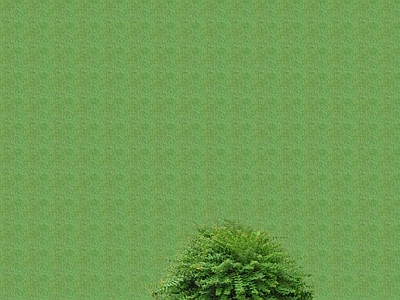 2D花草 花坛花草