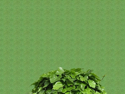 2D花草 花坛花草