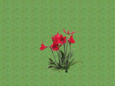 2D花草 花坛花草