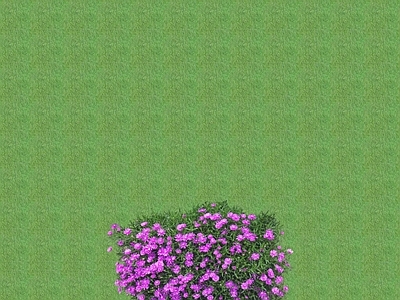 2D花草 花坛花草