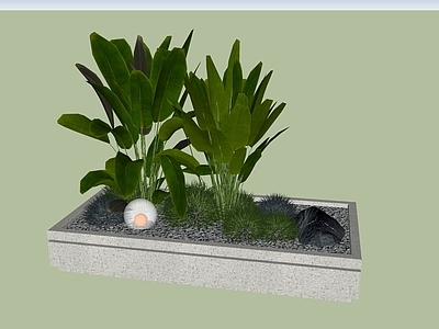 植物组合 树池植物组合 芭蕉 植物 种植池