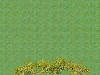 2D花草 花坛花草