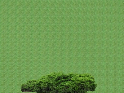 2D花草 花坛花草