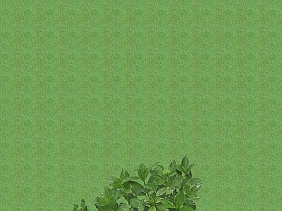 2D花草 花坛花草