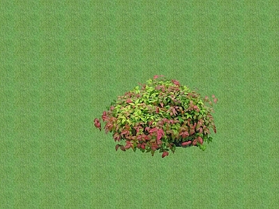 2D花草 花坛花草