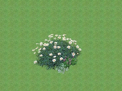 2D花草 花坛花草
