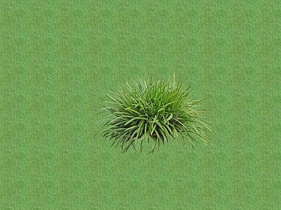 2D花草 花坛花草
