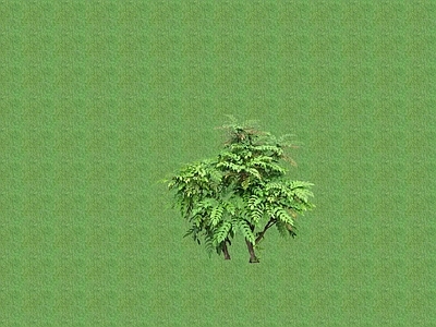 2D花草 花坛花草