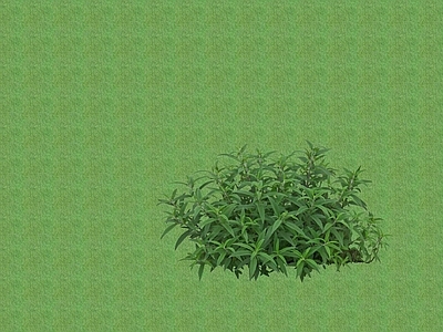 2D花草 花坛花草