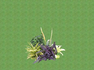 2D花草 花坛花草