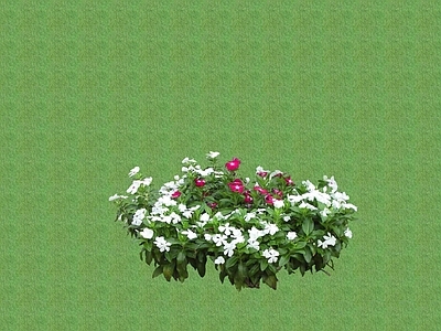 2D花草 花坛花草