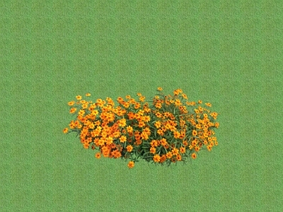 2D花草 花坛花草