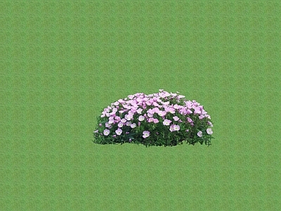 2D花草 花坛花草