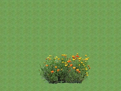 2D花草 花坛花草