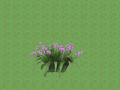 2D花草 花坛花草