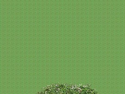 2D花草 花坛花草