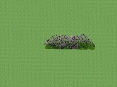 花草 花架花草