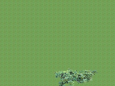 2D花草 花坛花草